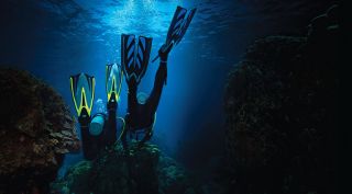 cours de plongee professionnelle montreal École de plongée sous-marine les Anémones Bleues