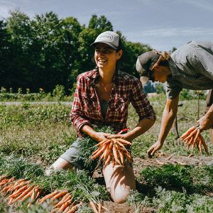 paniers biologiques montreal Réseau des fermiers·ères de famille / Family farmers Network