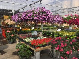 magasins pour acheter des plantes de jardin montreal Centre Jardin Atwater