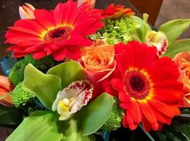 magasins de fleurs typiques montreal Fleuriste Zen le pouvoir des fleurs
