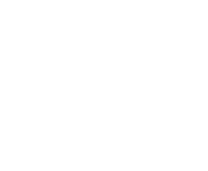logo-the agency-eng-white
