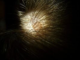 analyse des cheveux montreal Clinique Santé Capillaire