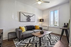 appartements adaptes aux chiens a montreal RAGQ