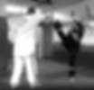 cours de taekwondo a montreal Elite Tae Kwon Do