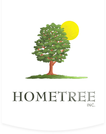taille des arbres montreal Hometree