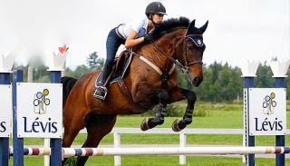 equitations a poney pres pres de chez vous a montreal Centre Équestre Le pré vert