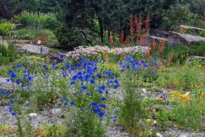 locations de jardins pour des evenements a montreal Jardin alpin