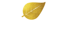 estate administrators montreal Regent Wealth Preservation - Trust & Estate Services