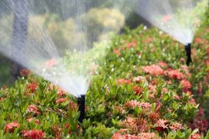 drip irrigation montreal Landcare Inc.