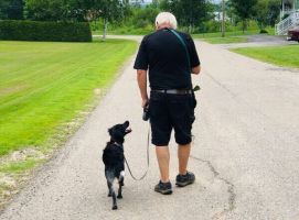 dresseurs de chiens a montreal Kala, Services Canins et Équins - Éducation et Dressage - Montréal