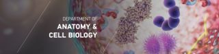 specialised physicians pathological anatomy montreal McGill University: Anatomy & Cell Biology