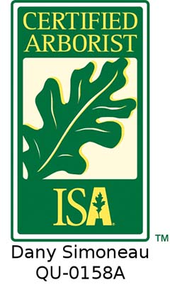 Arboriculteur certifié ISA - Dany Simoneau