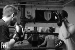 boxing schools in montreal UNDERDOG BOXING GYM