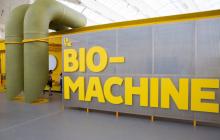 visites du musee de l air et de l espace en montreal Biodôme de Montréal
